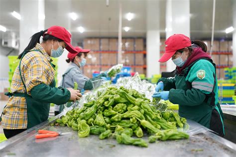 配送蔬菜公司起名大全 汇聚吉利旺财的运输公司名字素材（深圳篇）